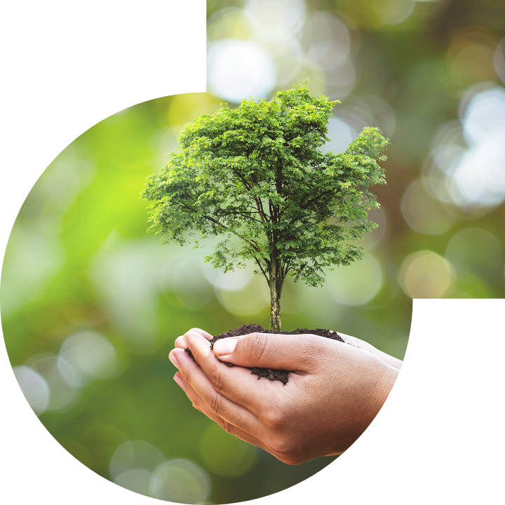 關懷人類、文化、環境與社會